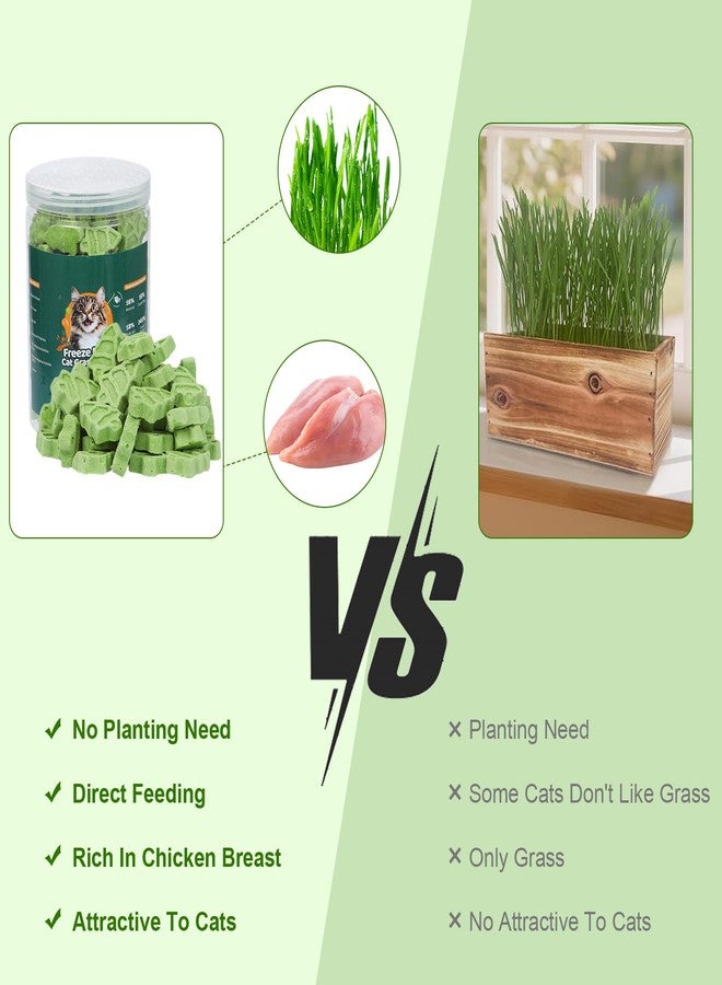 SuPruida 140g Cat Grass Treats for Indoor Cats, Natural Freeze Dried Cat Grass Teething Sticks, Hairball Treatment for Cats, Edible Kitty Chew Toy Snack for Teething Hairball Removal - Image 4